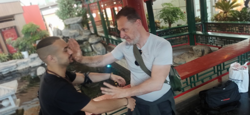 hong kong kung fu academy di Sifu Salvatore Mezzone, arti marziali wing chun, weng chun GM Michael Tang, tai chi quan, sanda e sport da combattimento, shaolin cina (2)